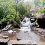 Jangeshu Waterfall Travel Guide and Tourism in Kasauli, Himachal Pradesh